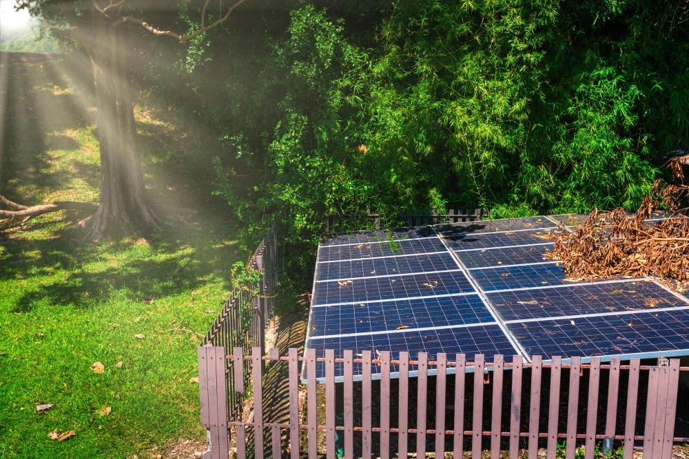 Fotowoltaika na ziemi